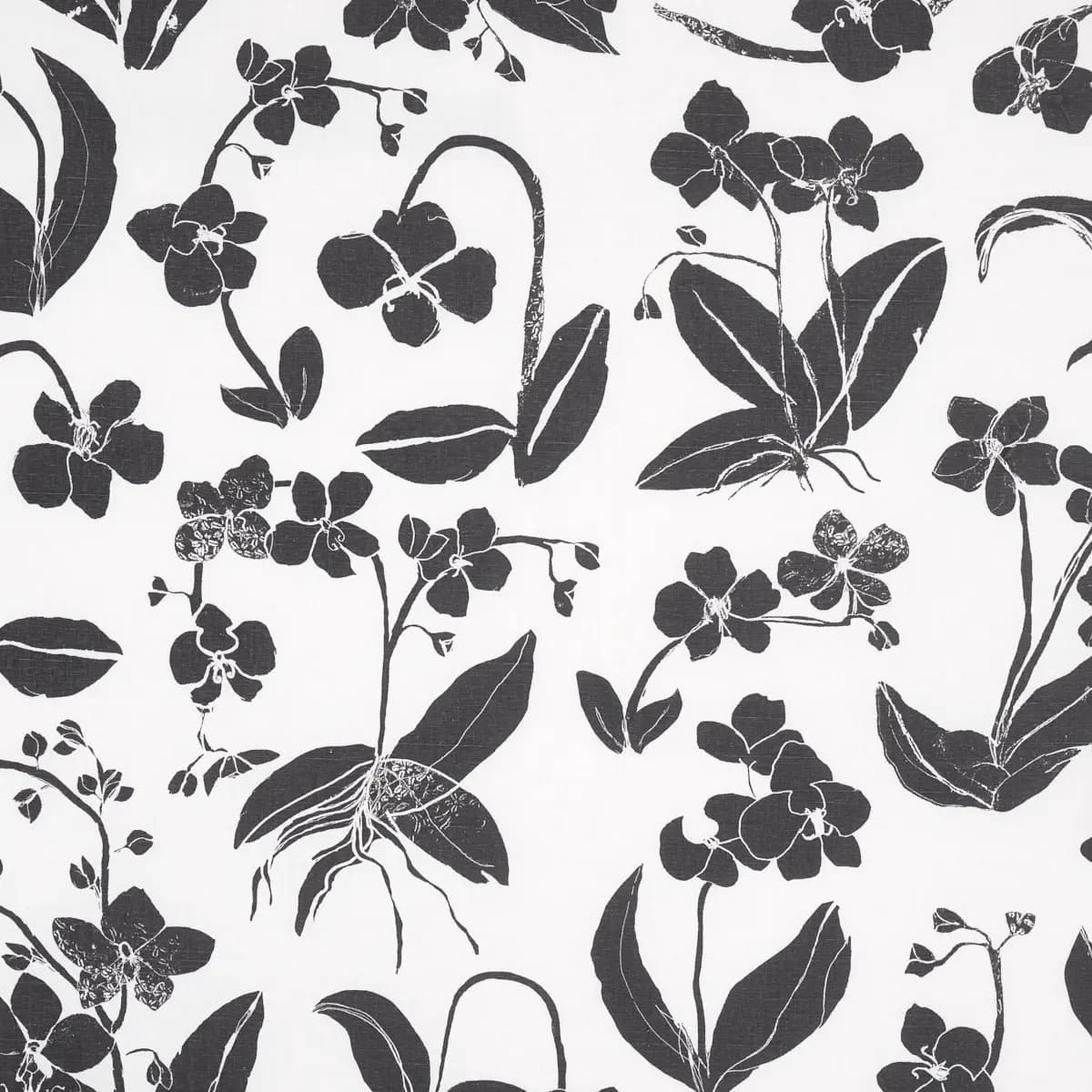 ORCHIDS HAVE DREAMS_ SOFT BLACK