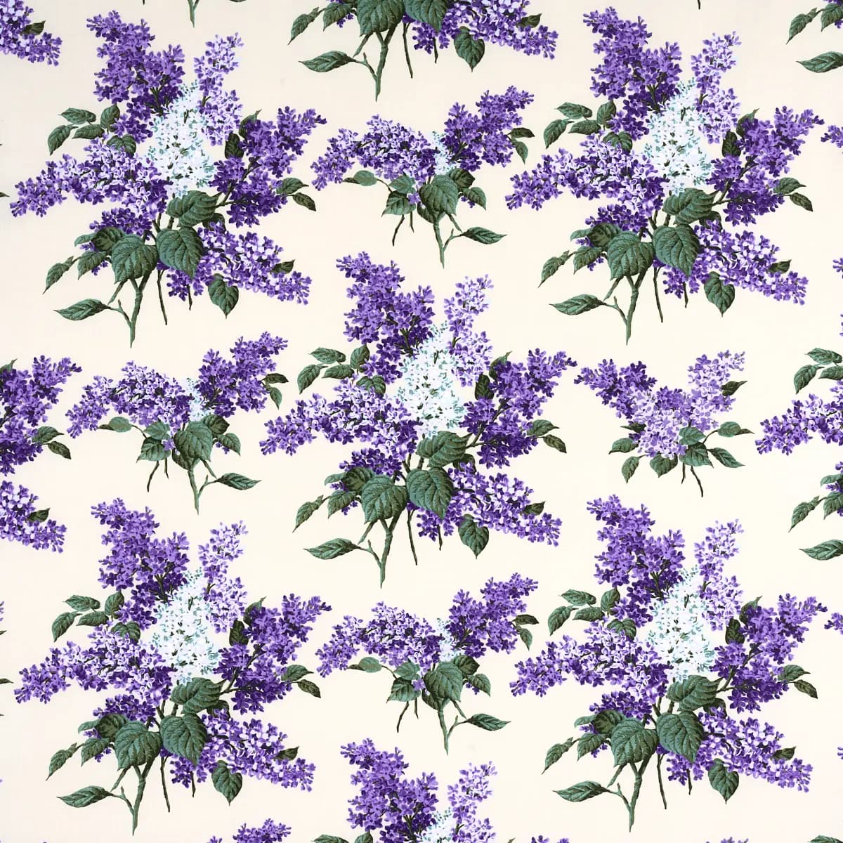 PROUST'S LILACS_ PURPLE