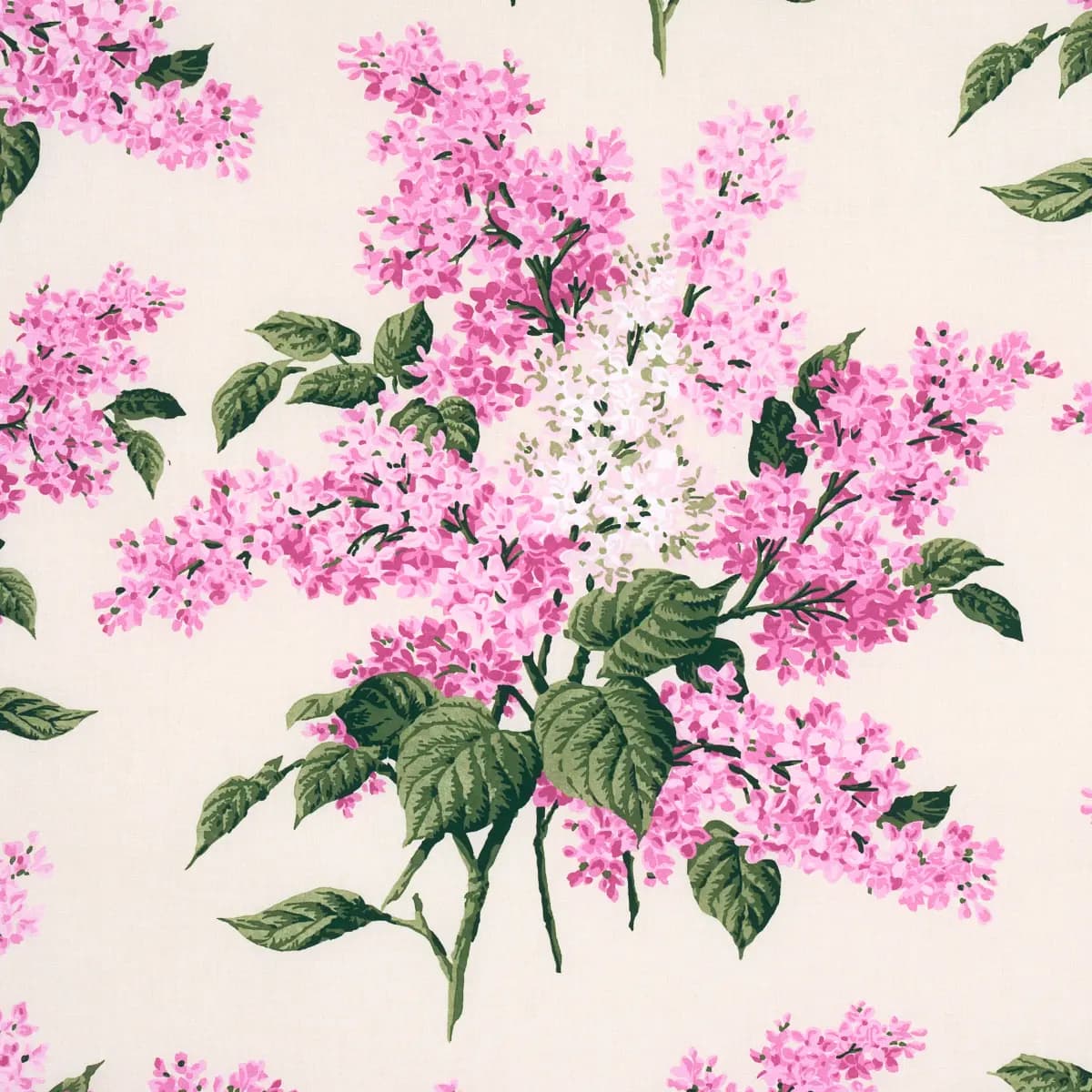 PROUST'S LILACS_ PINK