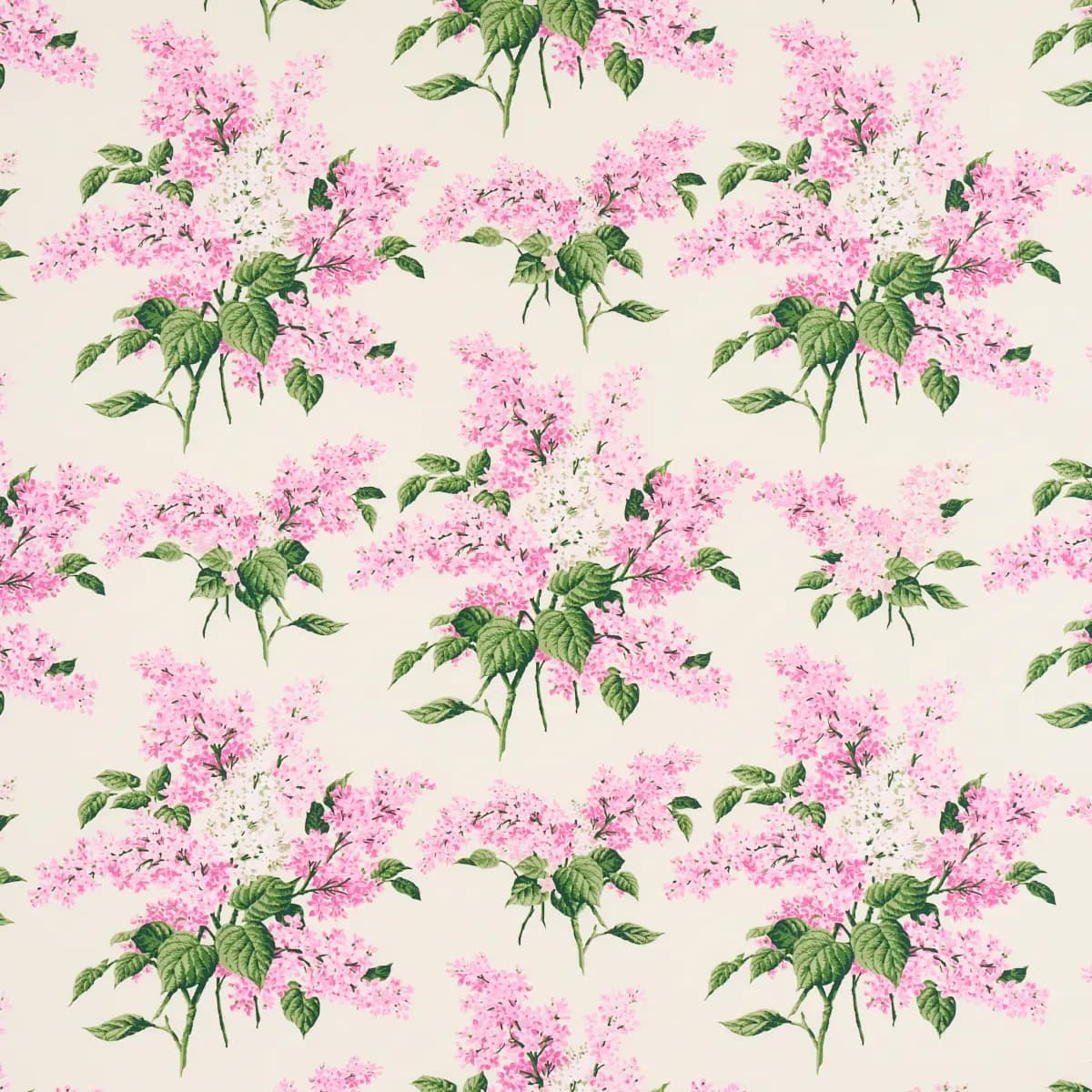 PROUST'S LILACS_ PINK