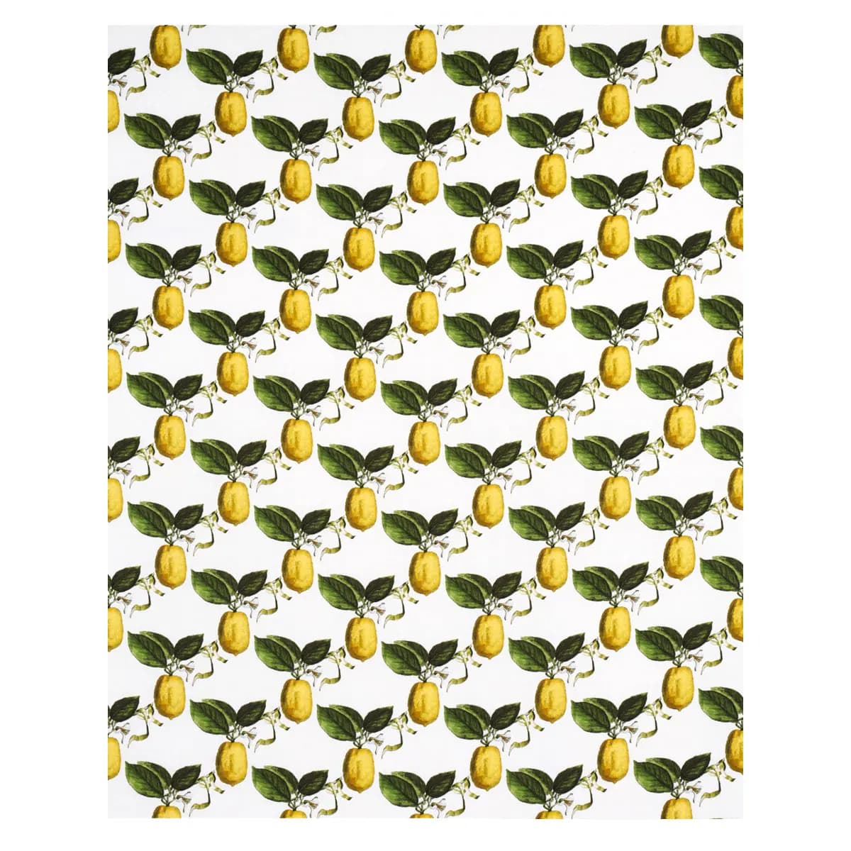 LE CITRON_ IVORY