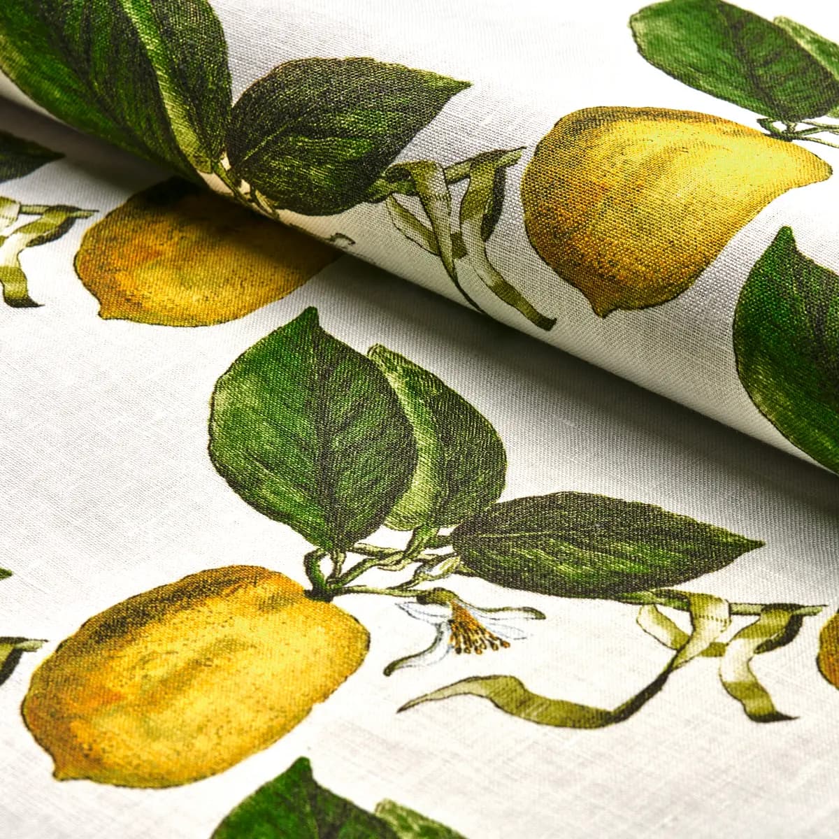 LE CITRON_ IVORY
