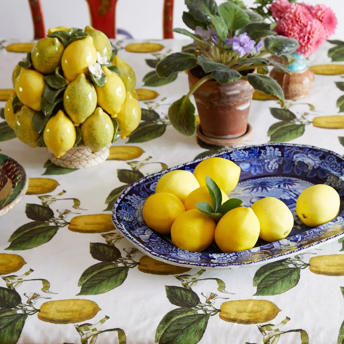 LE CITRON_ IVORY