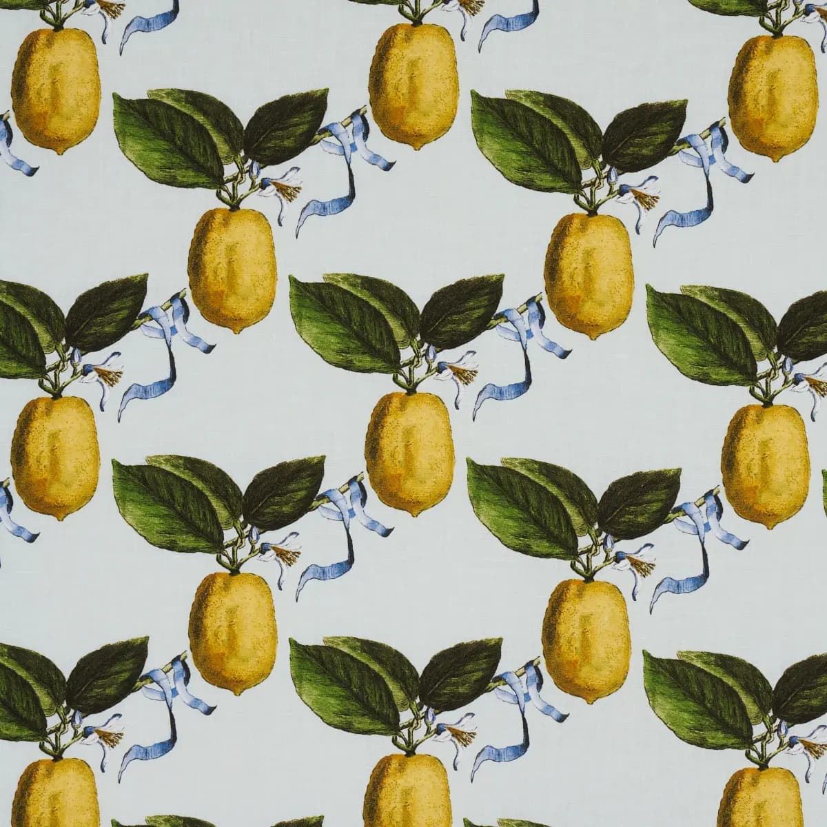 Le Citron_ SKY