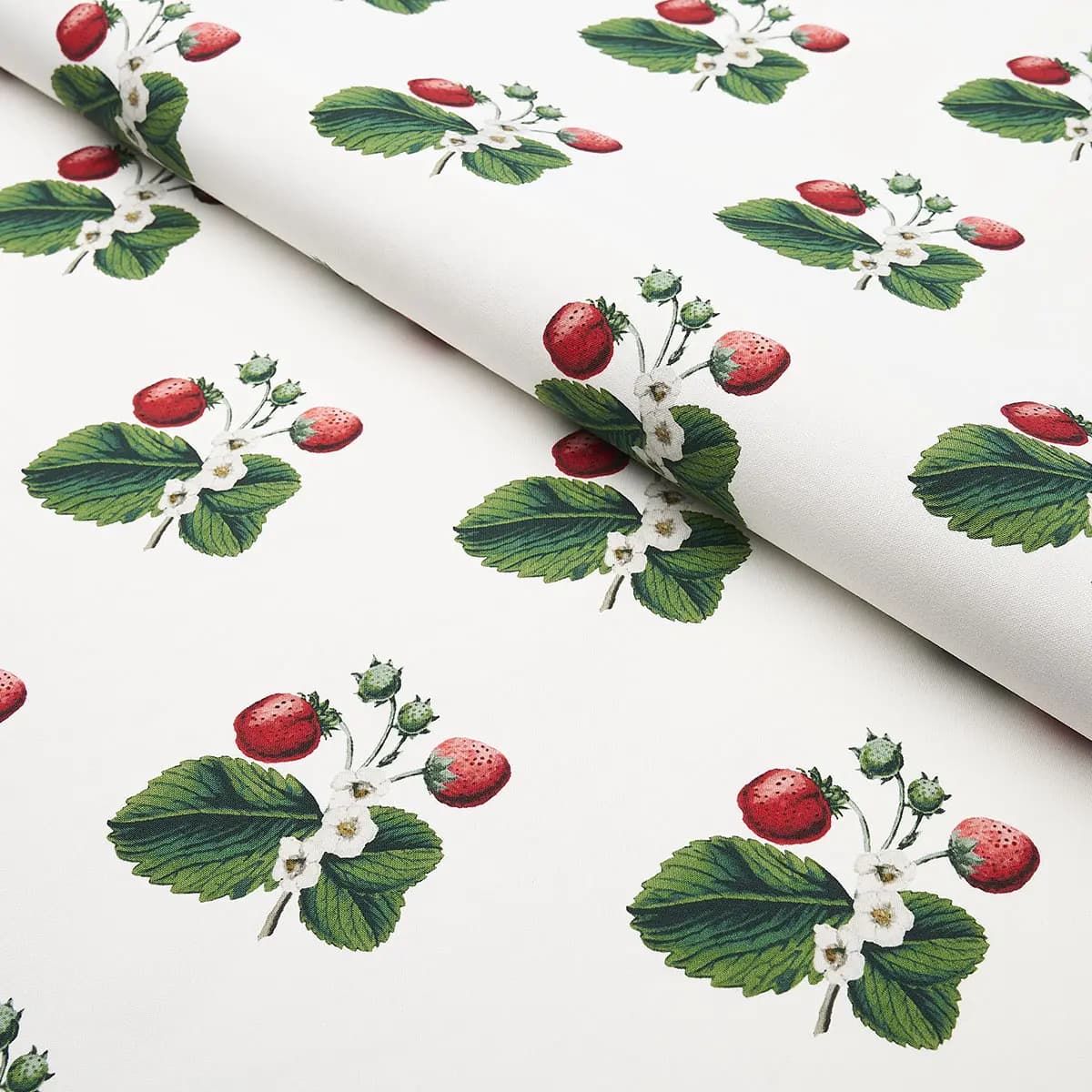 STRAWBERRY HILL_ WHITE