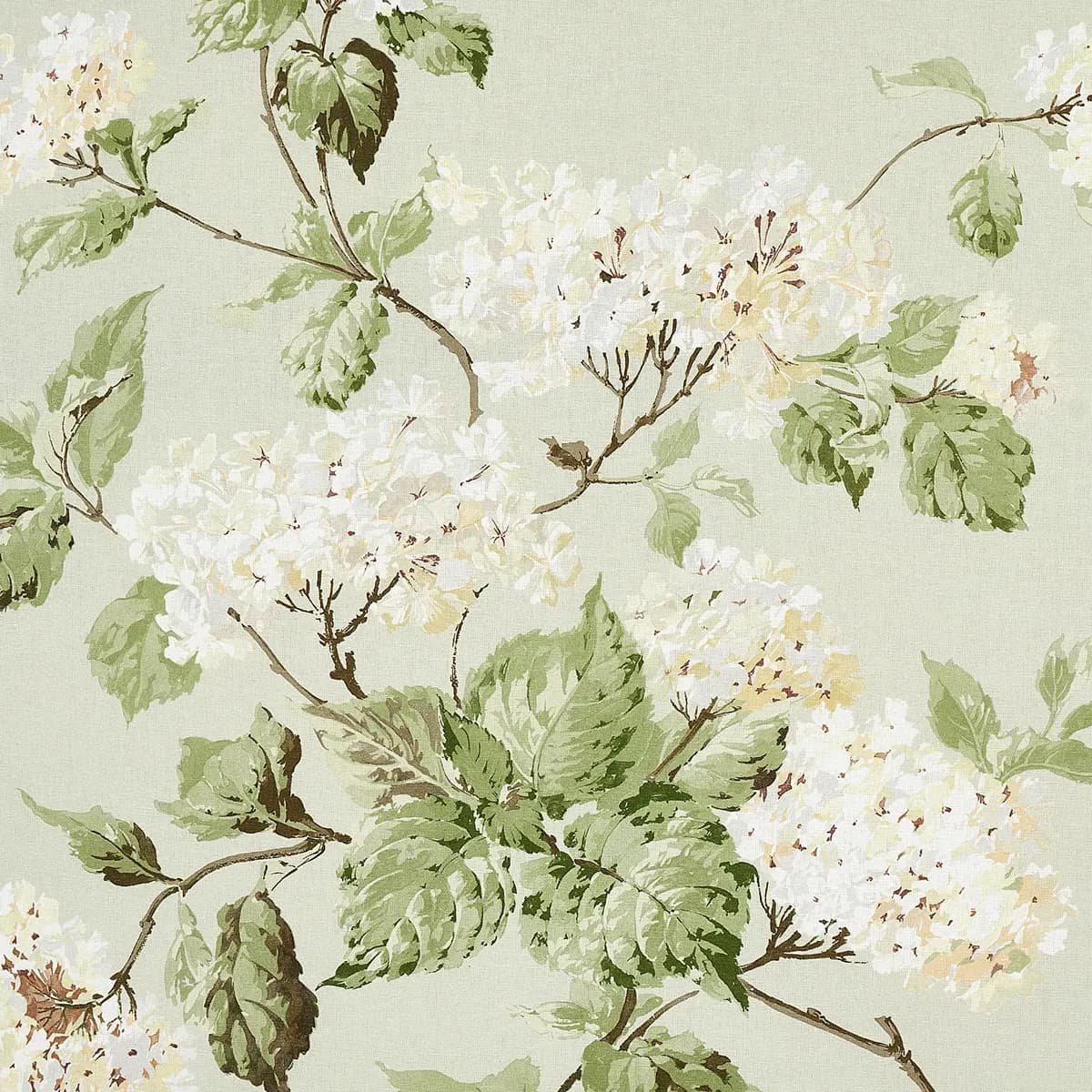 SUMMER HYDRANGEA_ CELADON