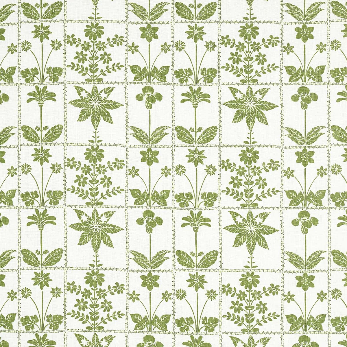 GEORGIA WILDFLOWERS_ LEAF