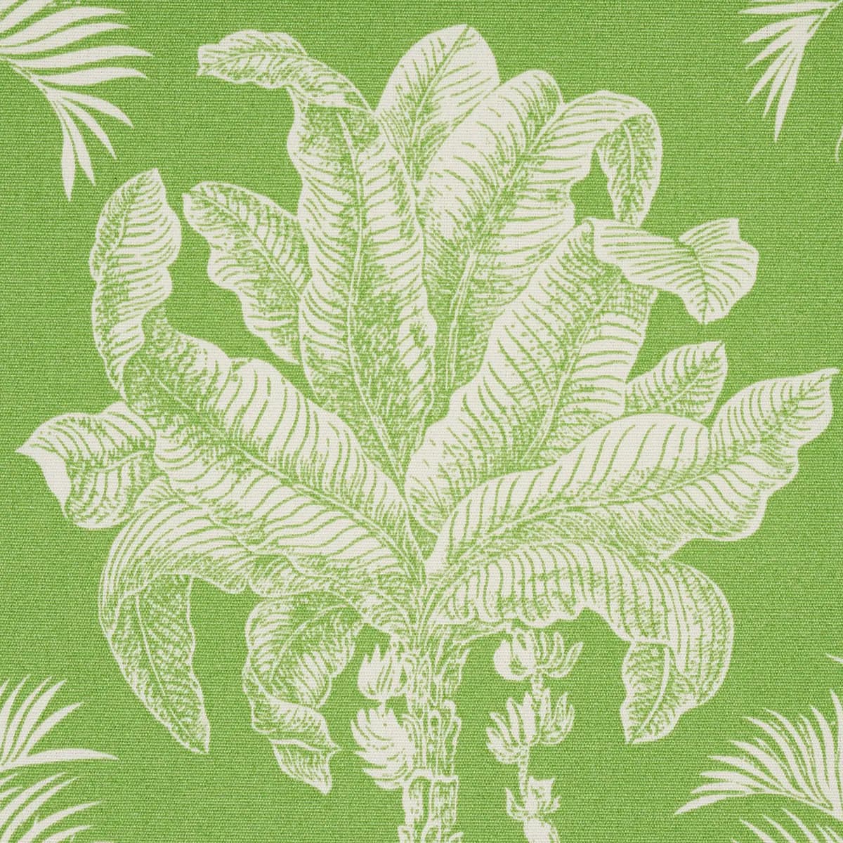 GRAND PALMS INDOOR/OUTDOOR_ GREEN
