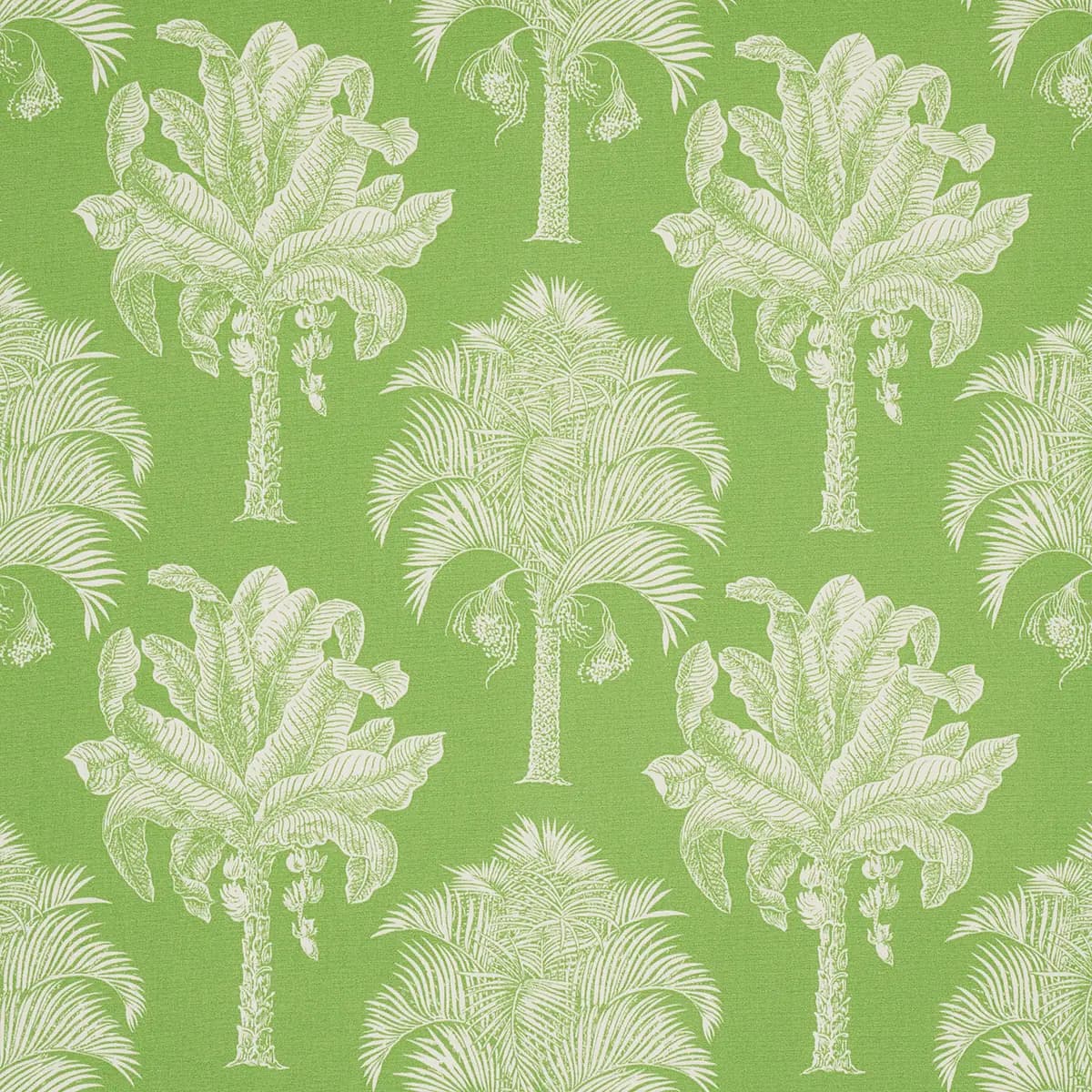GRAND PALMS INDOOR/OUTDOOR_ GREEN