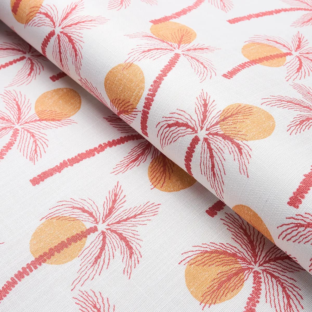 CLARABELLA PALM INDOOR/OUTDOOR_ CITRUS