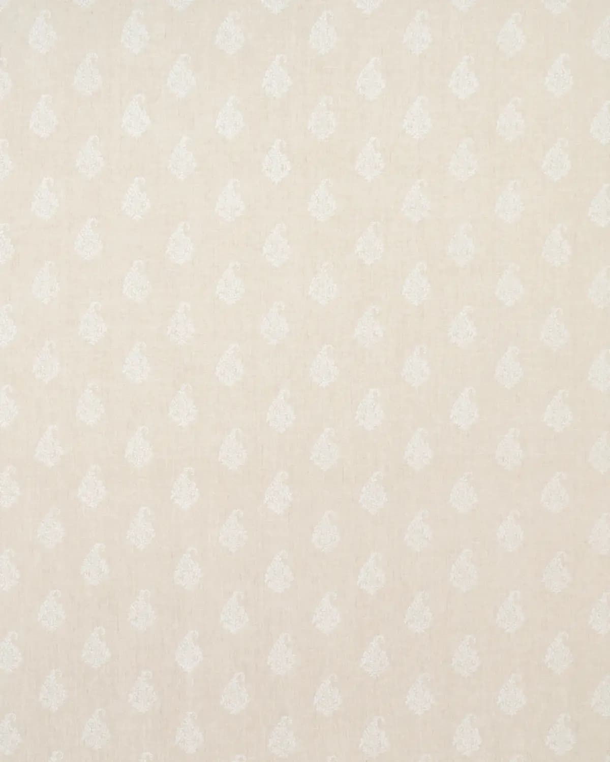 KERALA PAISLEY_ WHITE ON NEUTRAL