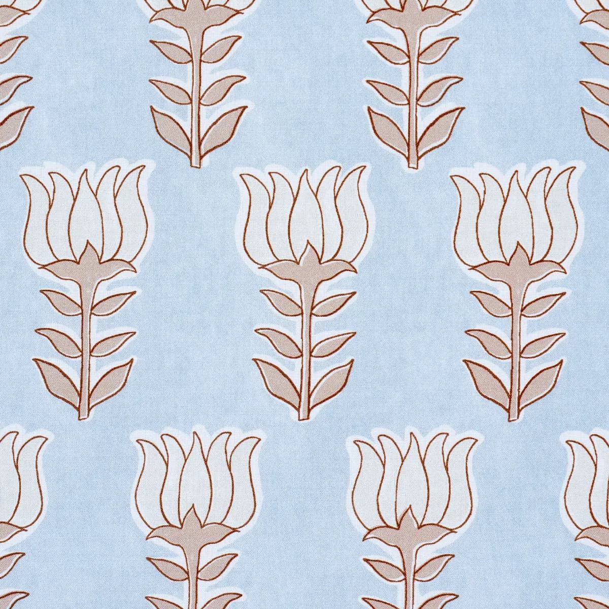 MIA TULIP_ SKY & SAND