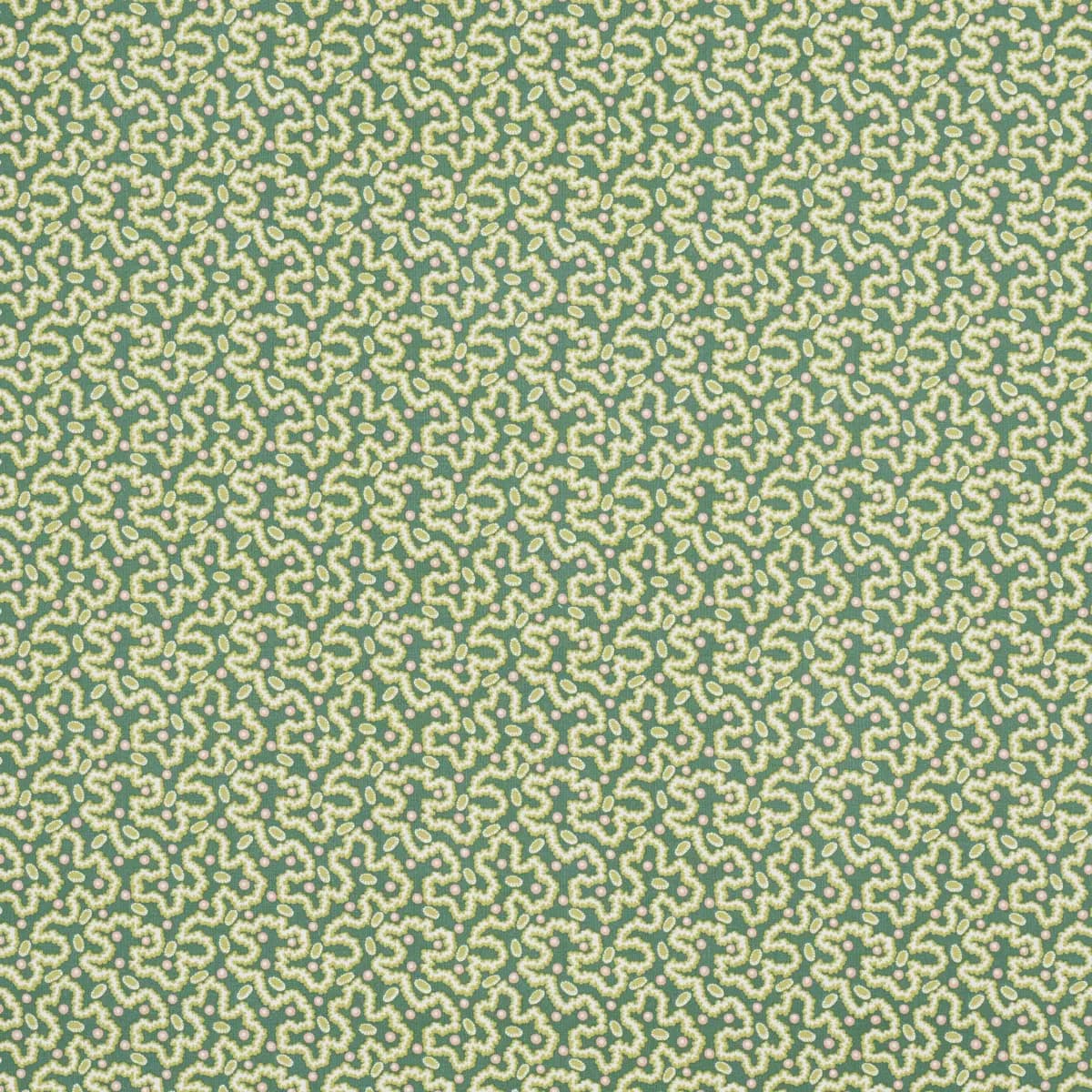 LEONIE VERMICELLI_ LEAF
