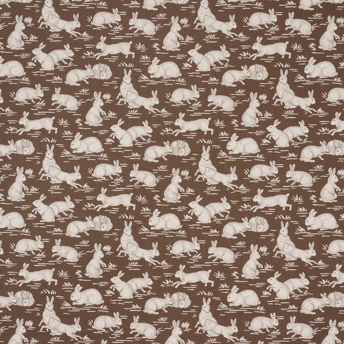 COTTONTAILS_ CHESTNUT