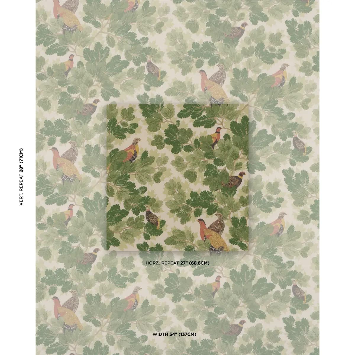 COVEY HEDGE_ PINE