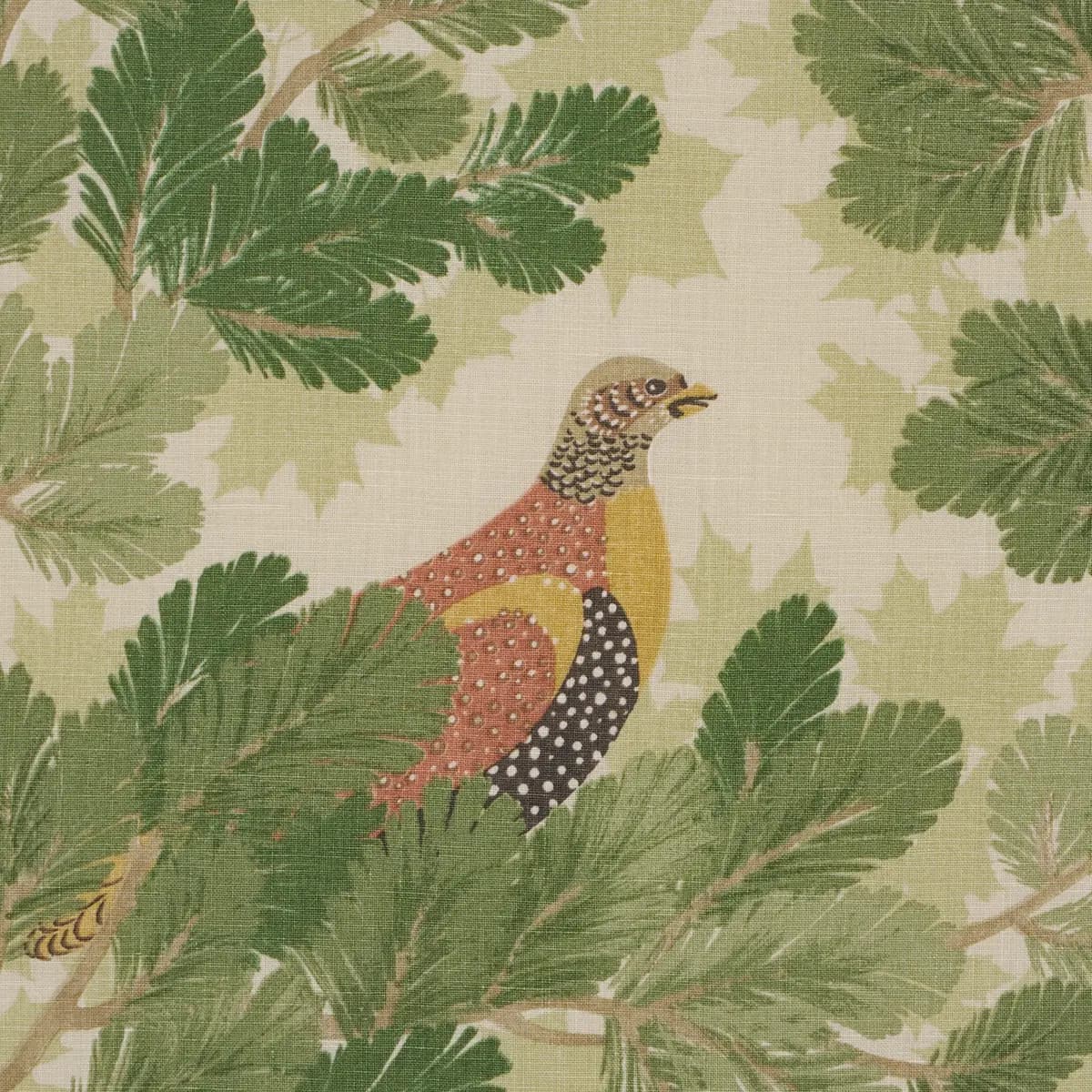 COVEY HEDGE_ PINE