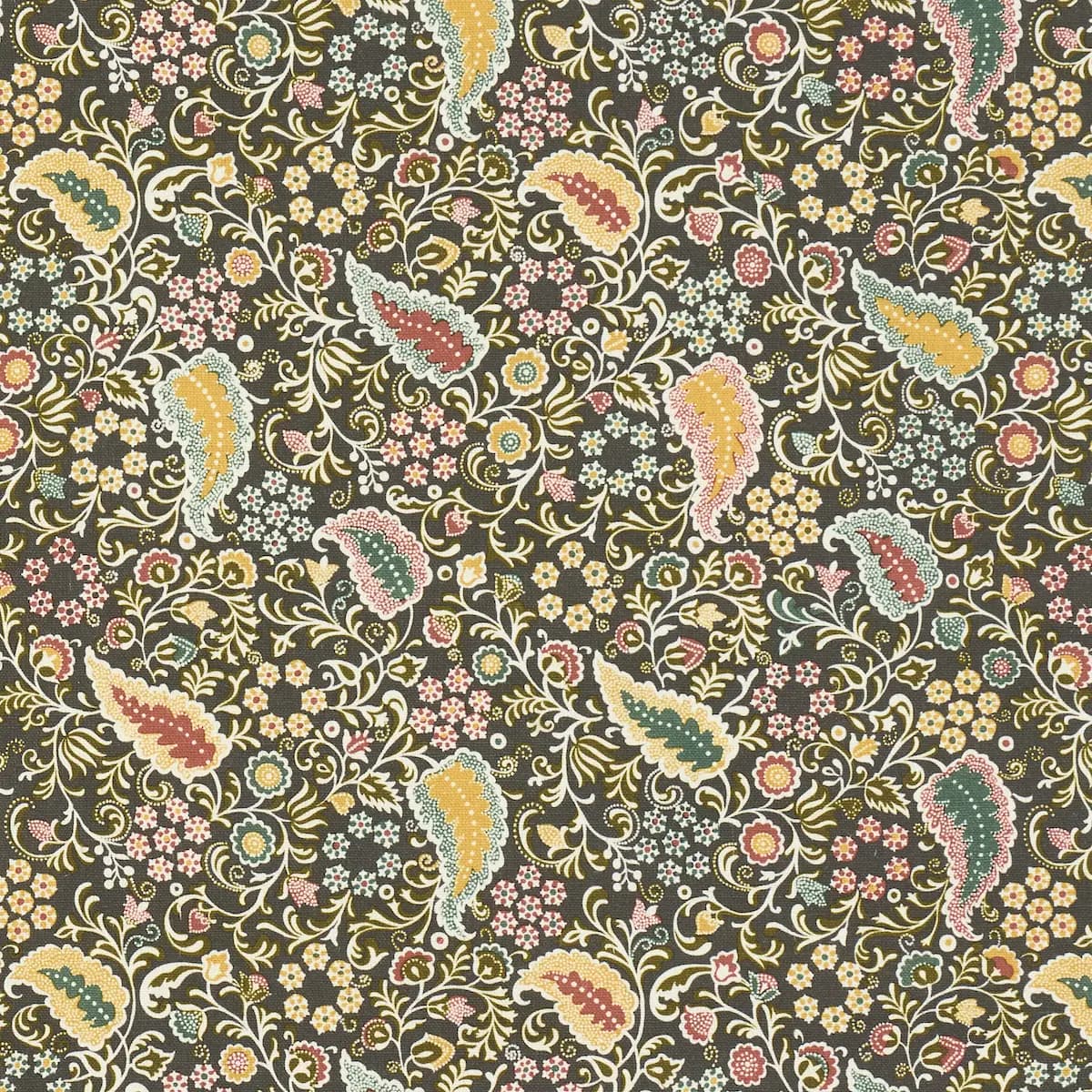 PEGGY PAISLEY_ GRAPHITE