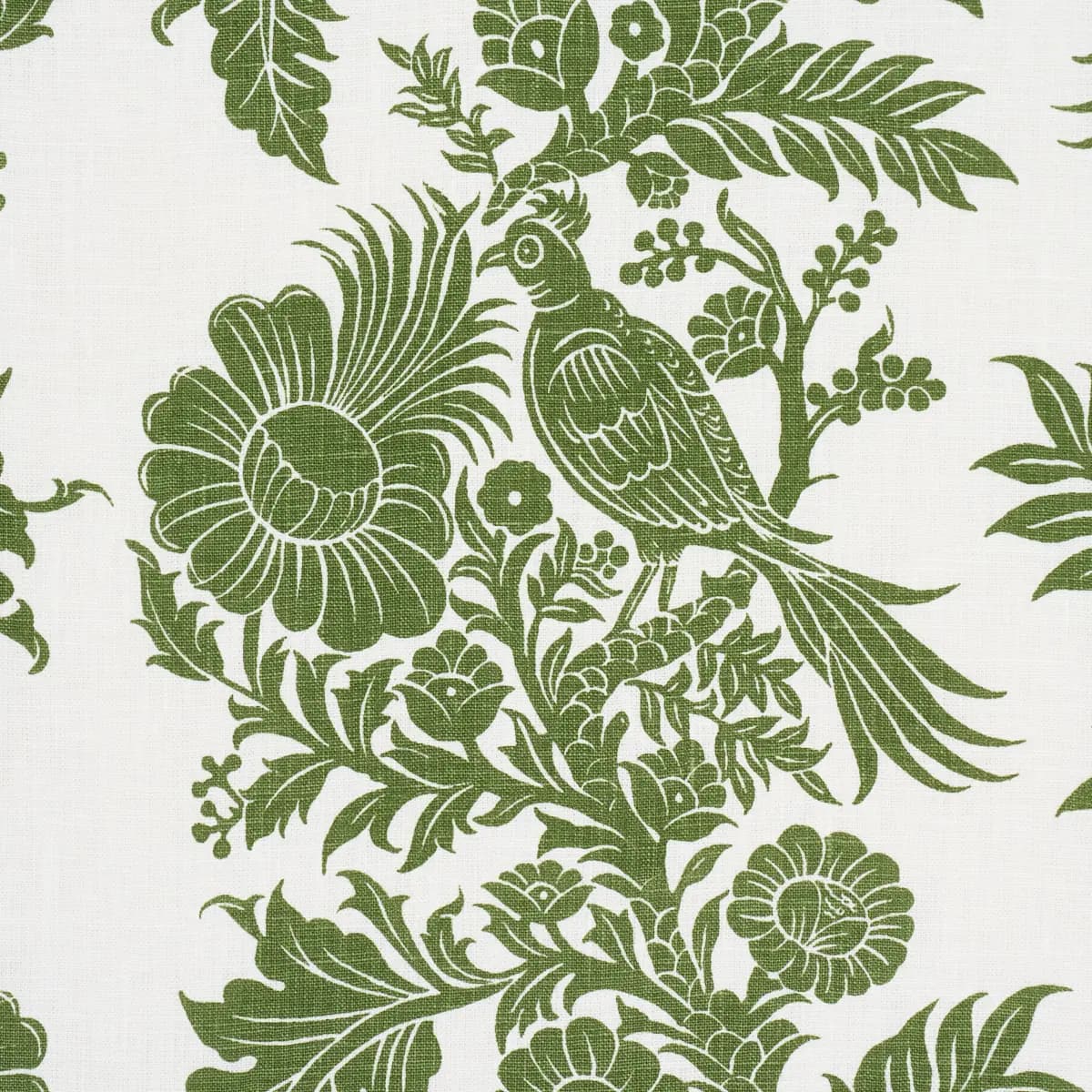 RAVEN WOODS_ GREEN