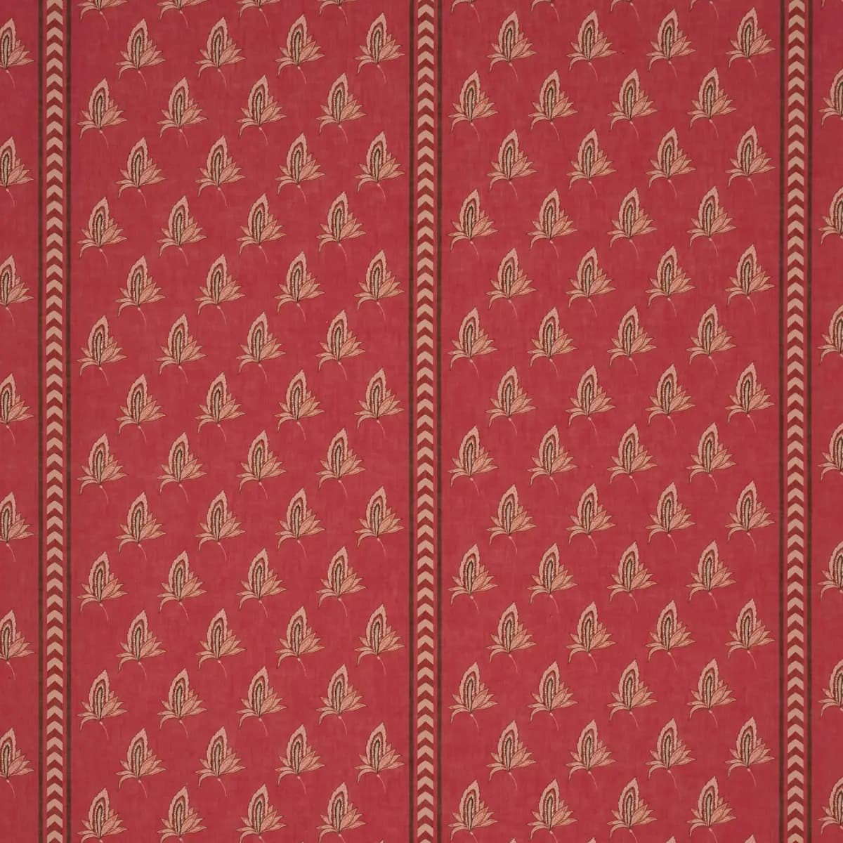 BANGALORE IMAGINATION_ ROUGE