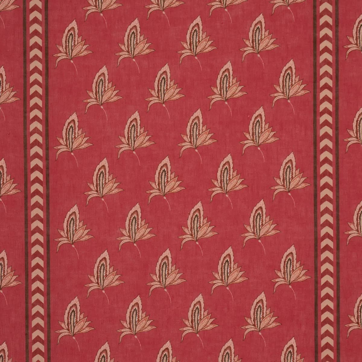 BANGALORE IMAGINATION_ ROUGE