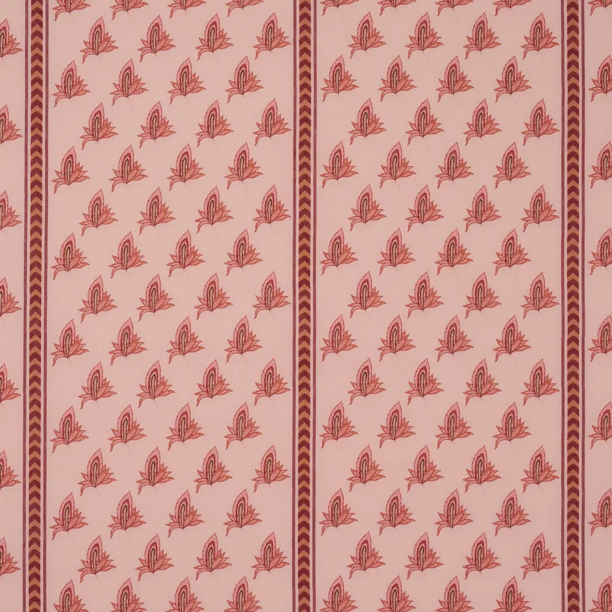 BANGALORE IMAGINATION_ ROSE