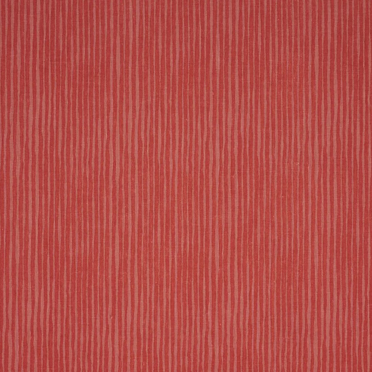 HALLUCINATION_ CORAL