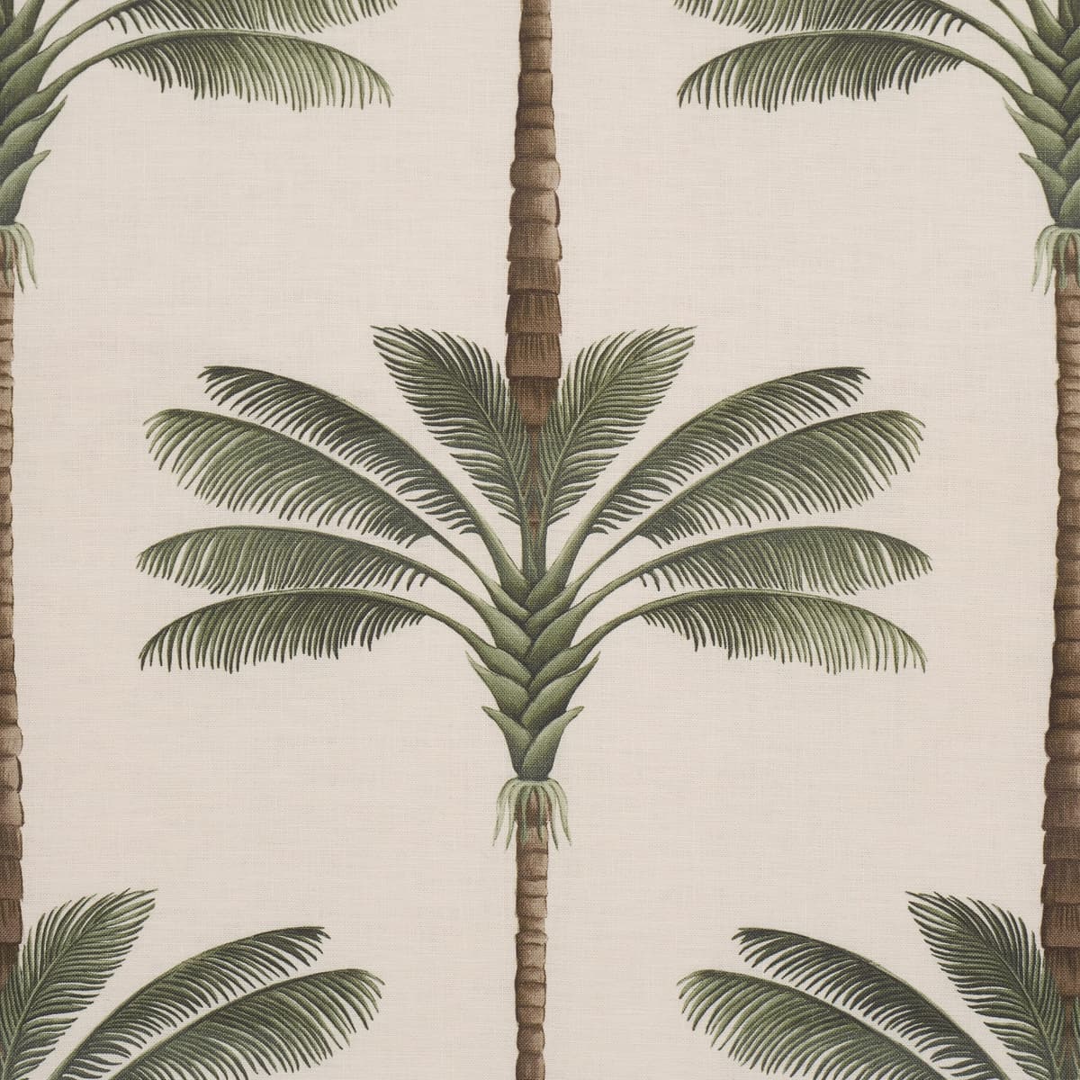 A PALM IS A PALM PRINT_ DAYLIGHT EVERGREEN