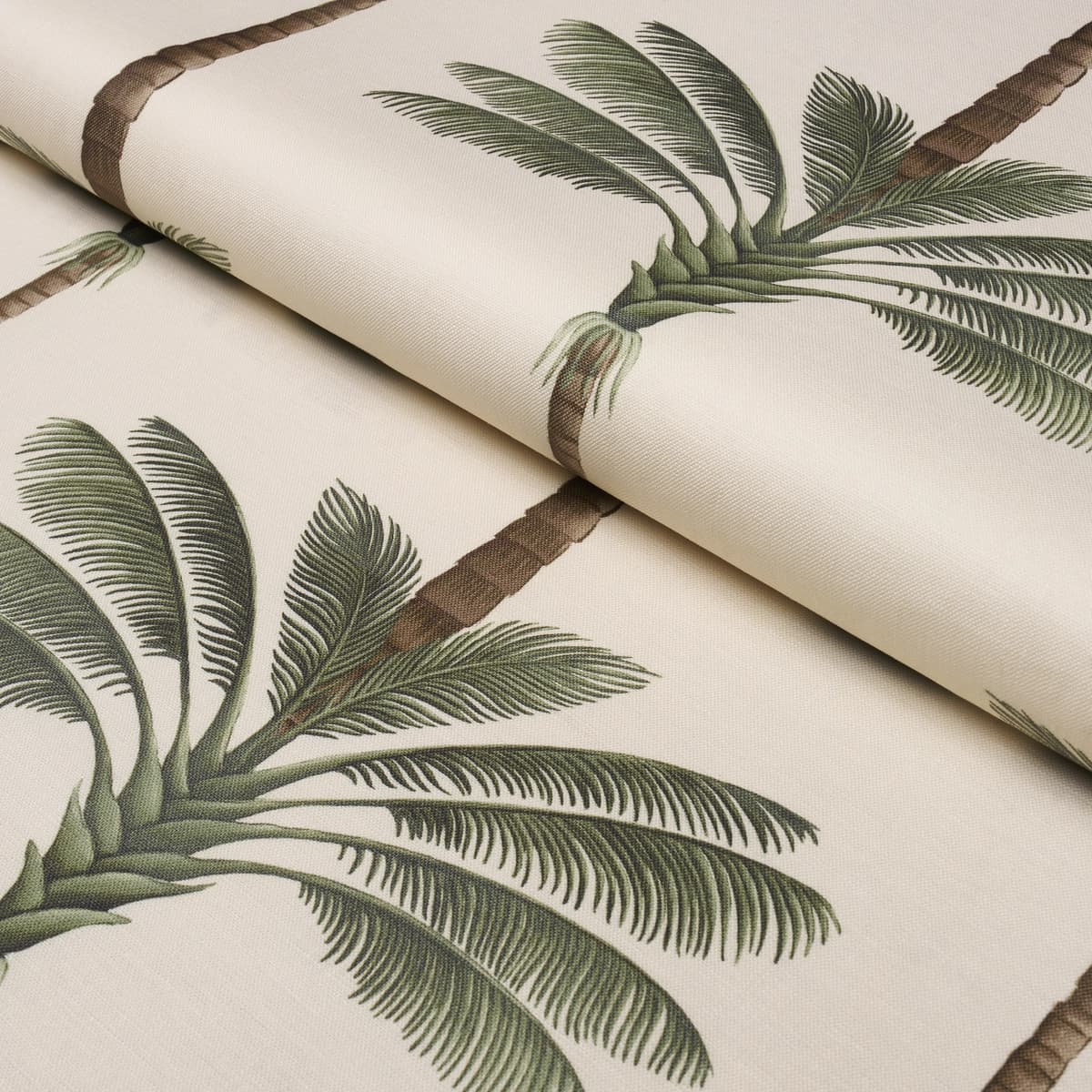 A PALM IS A PALM PRINT_ DAYLIGHT EVERGREEN