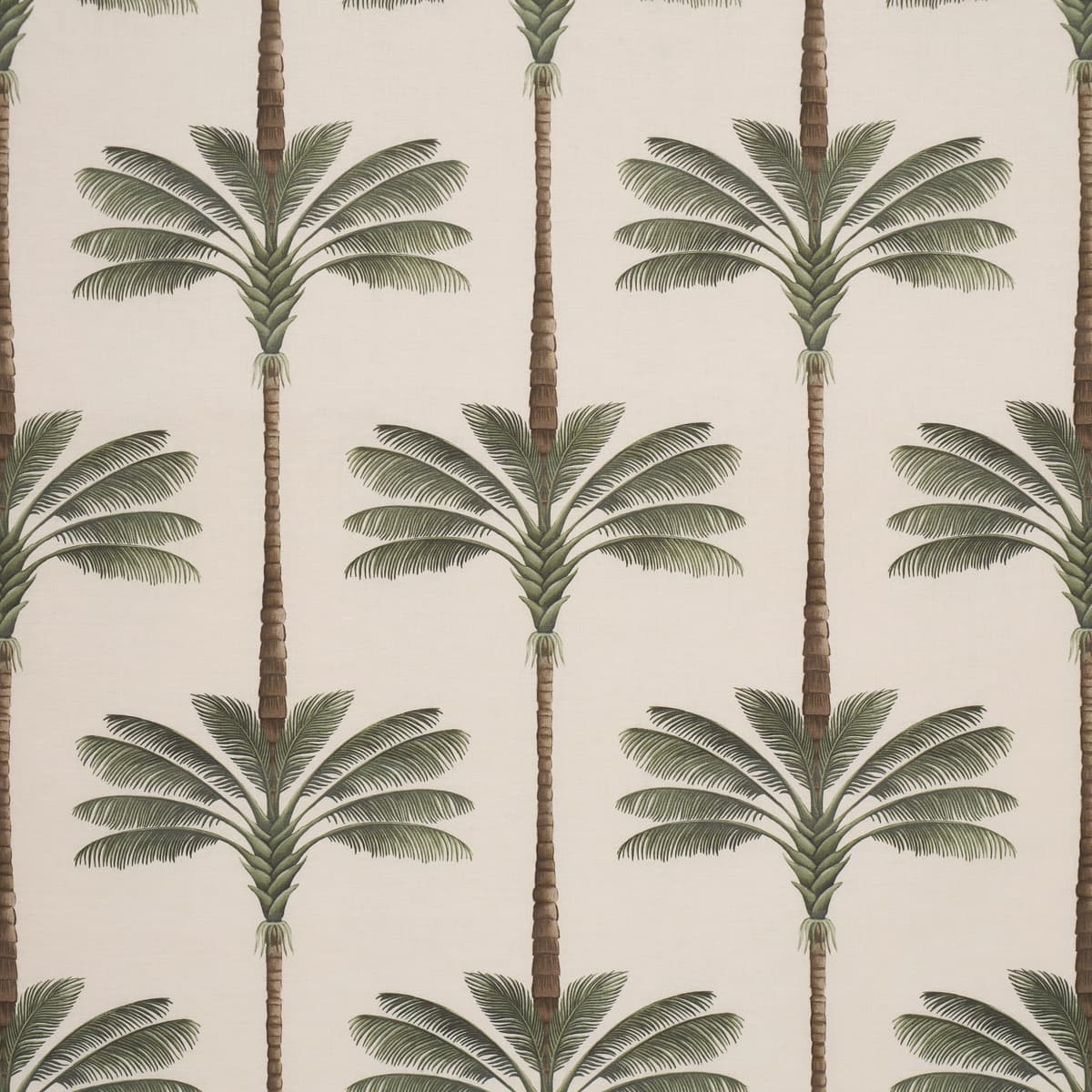 A PALM IS A PALM PRINT_ DAYLIGHT EVERGREEN