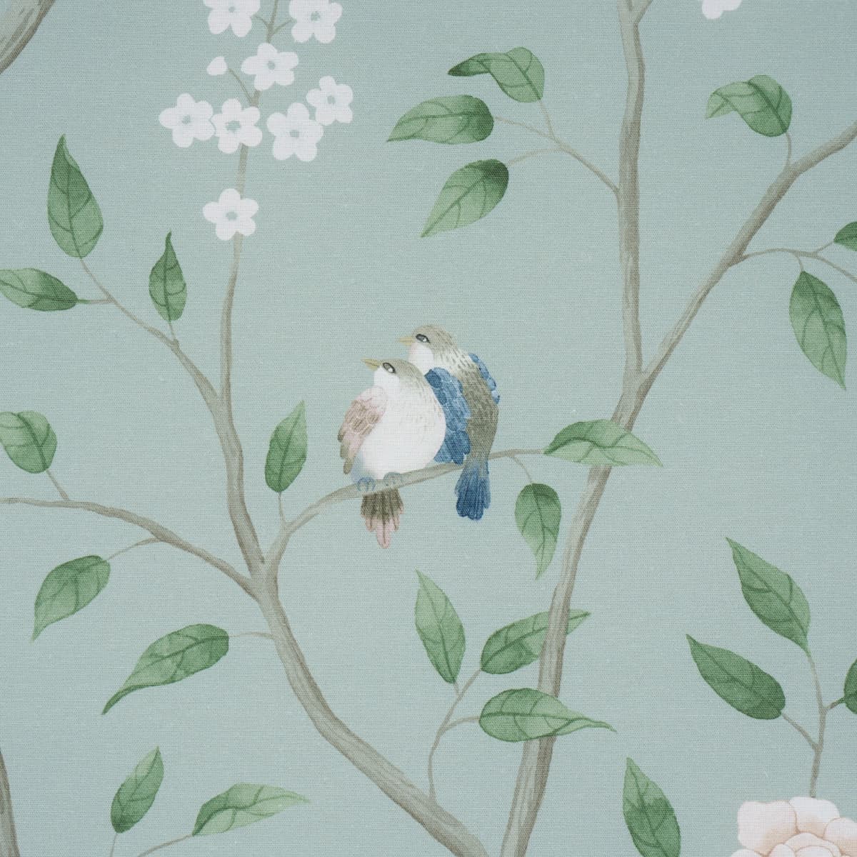 PARADISE BIRDS_ MINERAL