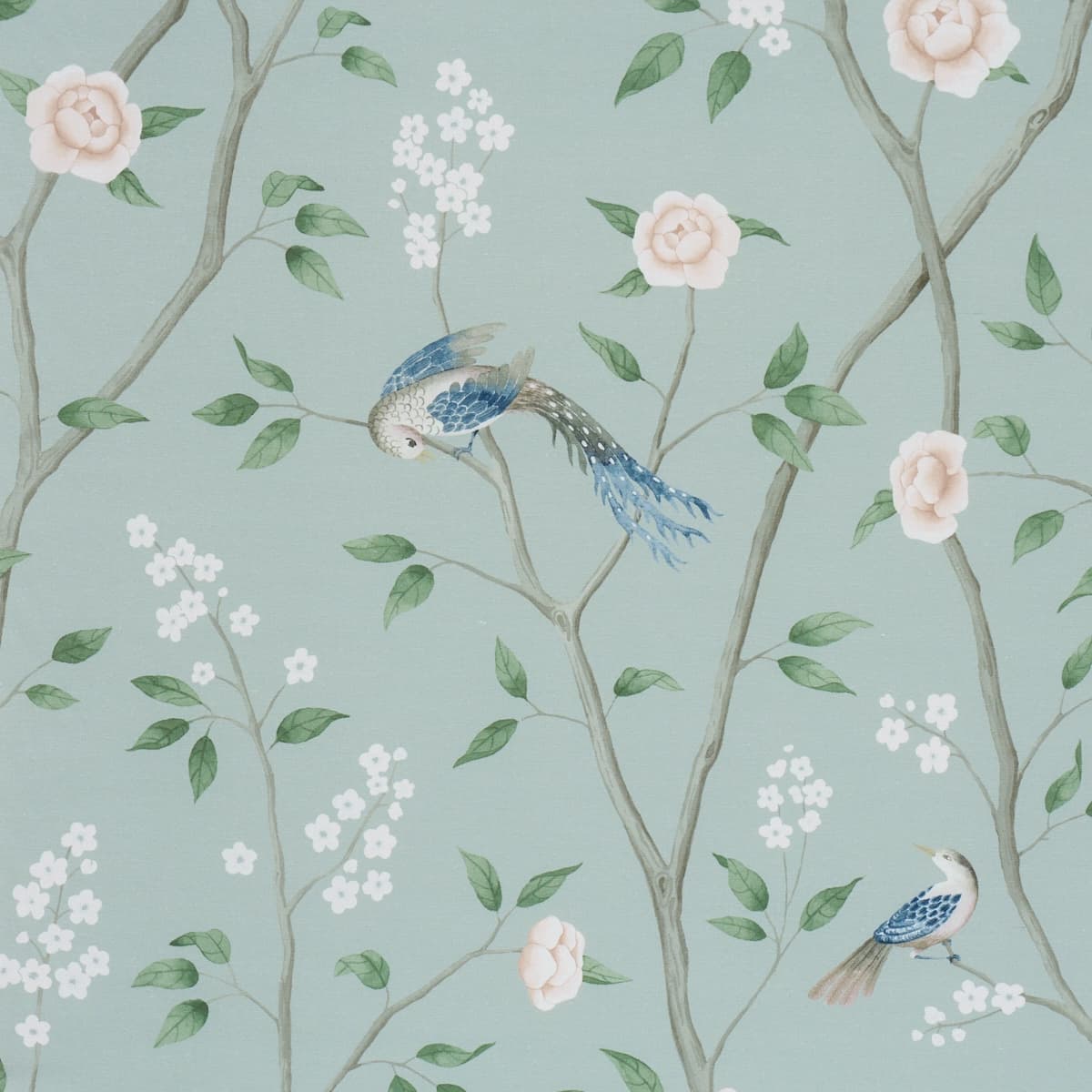 PARADISE BIRDS_ MINERAL