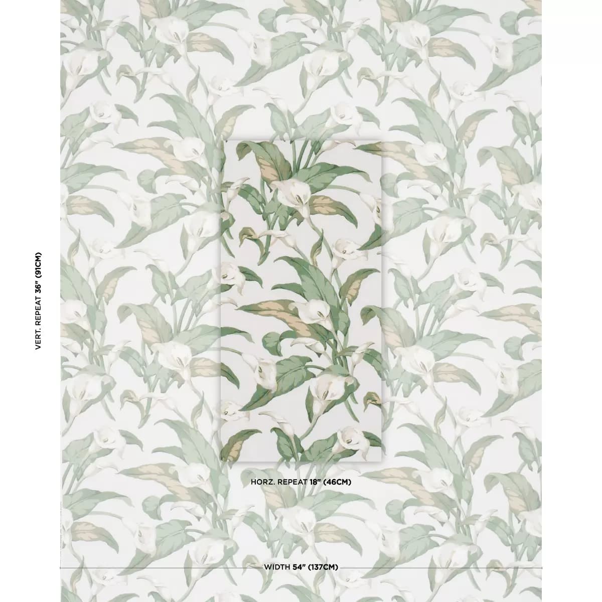 ARUM LILIES_ IVORY