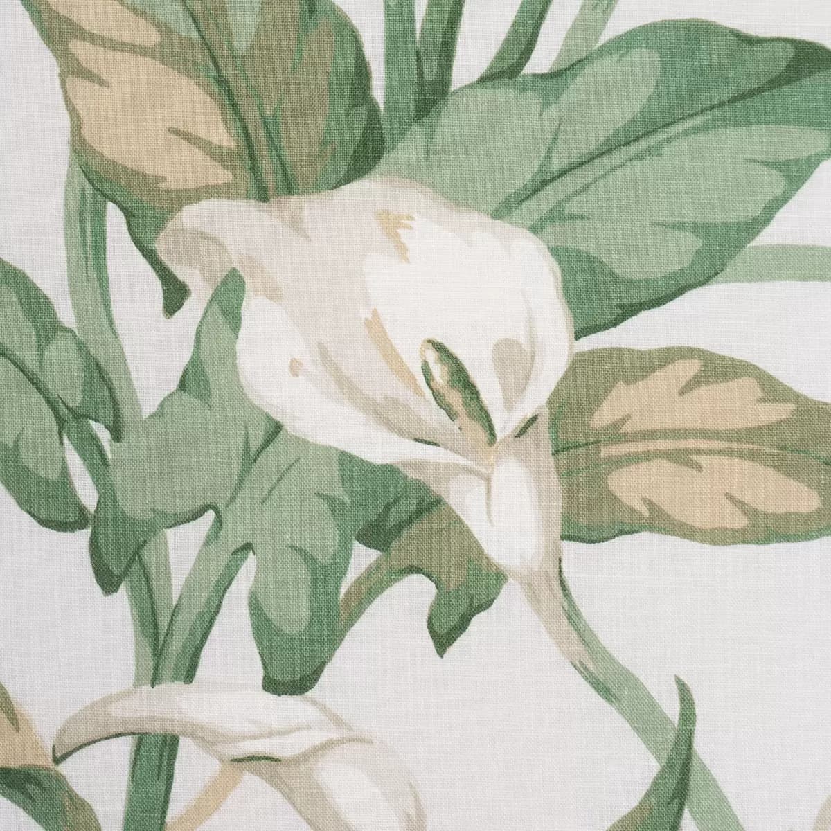 ARUM LILIES_ IVORY