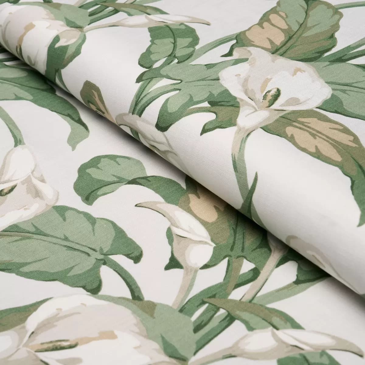 ARUM LILIES_ IVORY