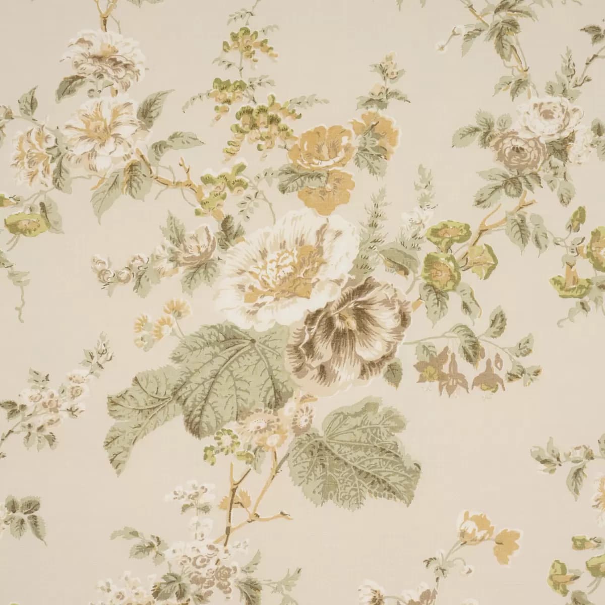 MIDSUMMER HOLLYHOCK_ CITRON