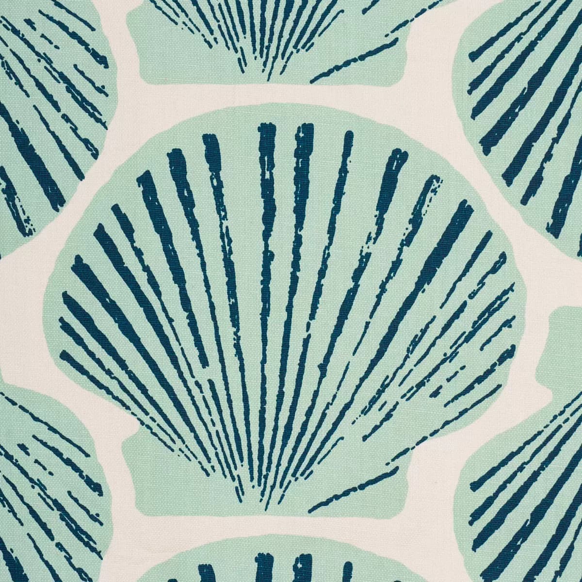 SCALLOP SHELL_ AQUA