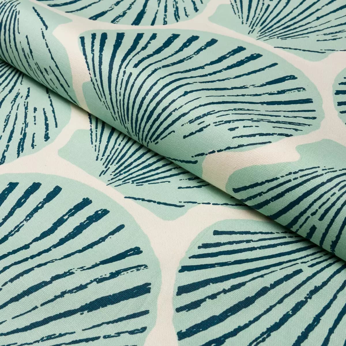 SCALLOP SHELL_ AQUA