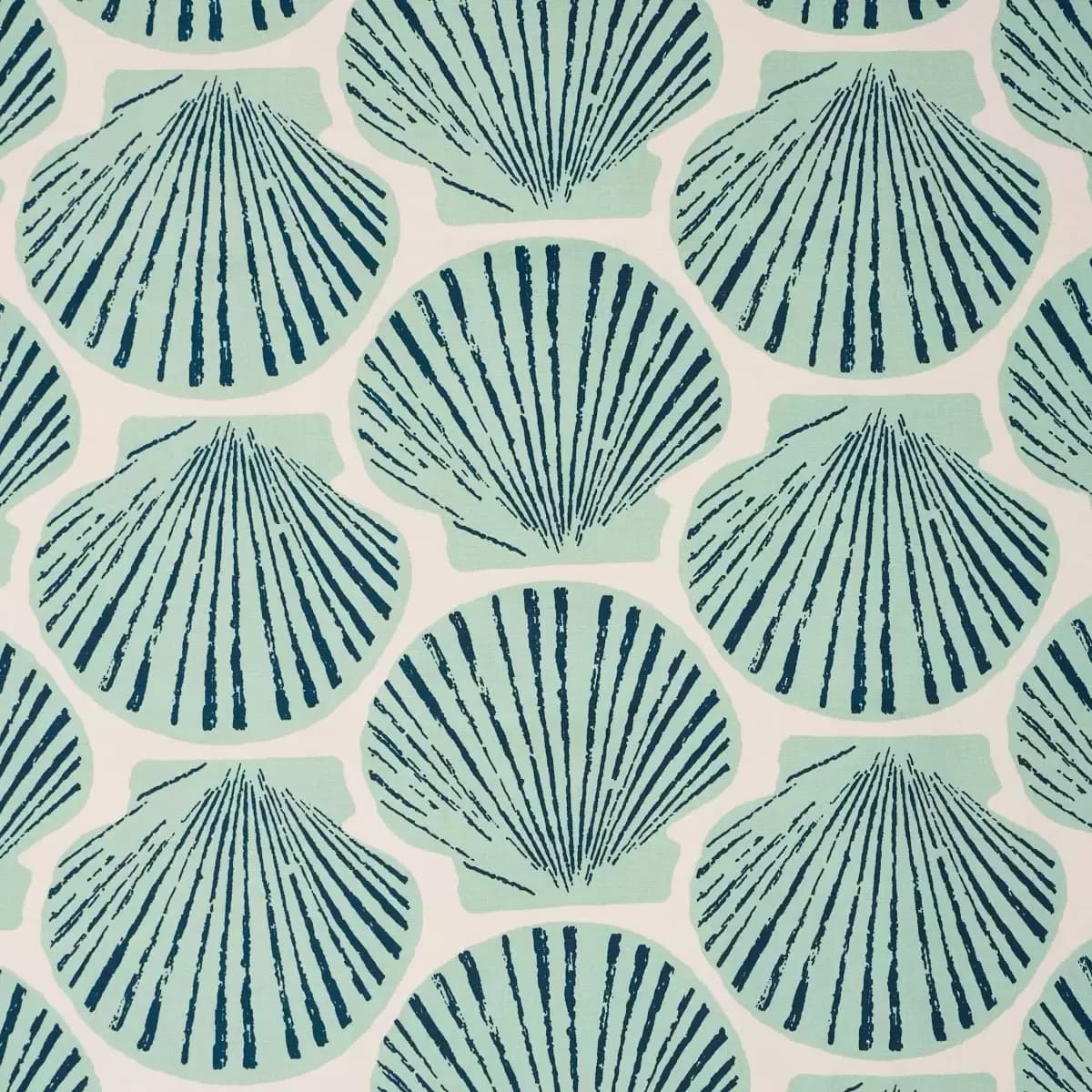 SCALLOP SHELL_ AQUA