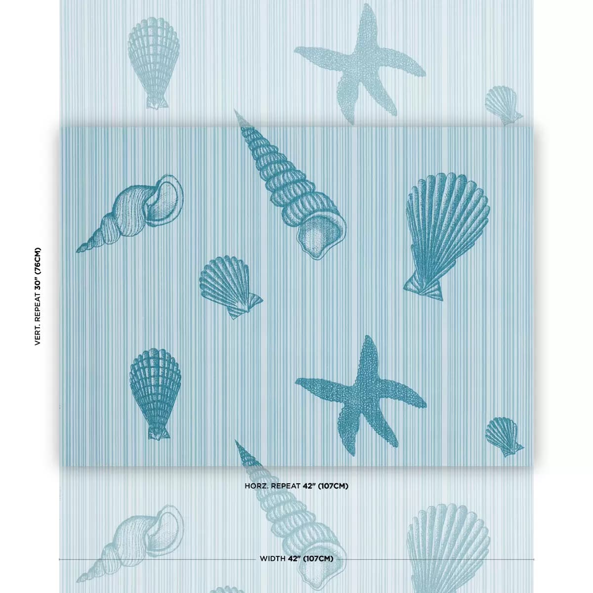 SEASHELLS_ OCEAN