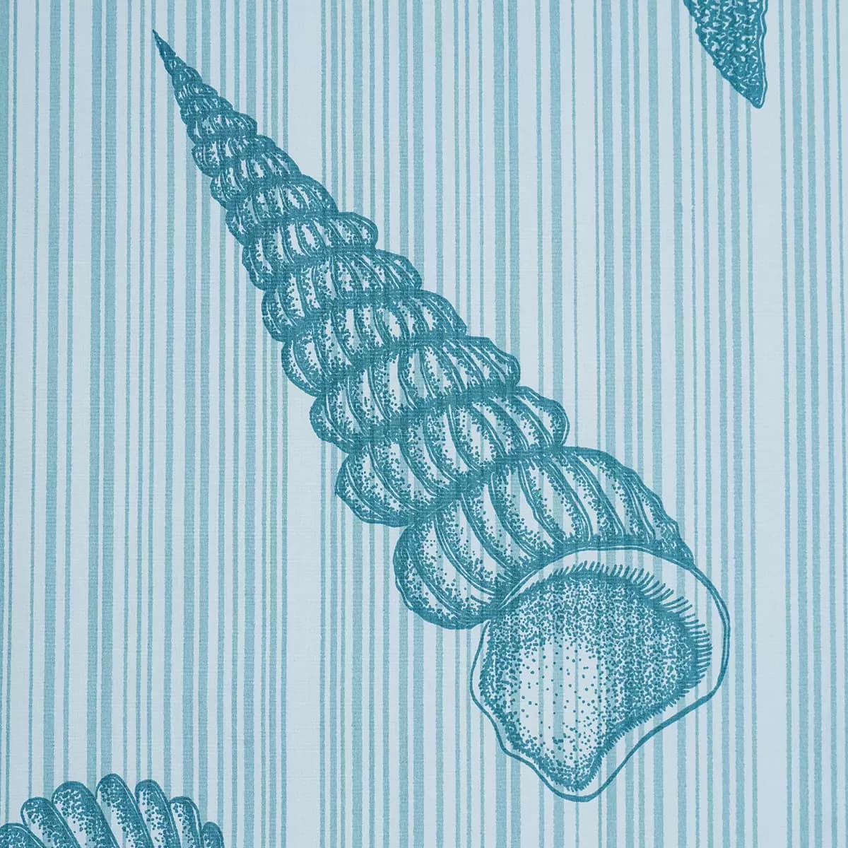 SEASHELLS_ OCEAN
