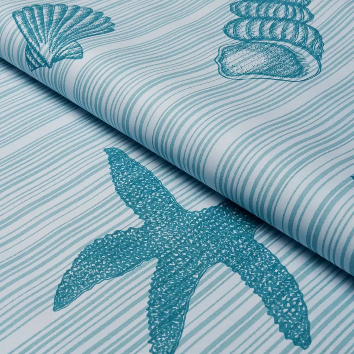 SEASHELLS_ OCEAN