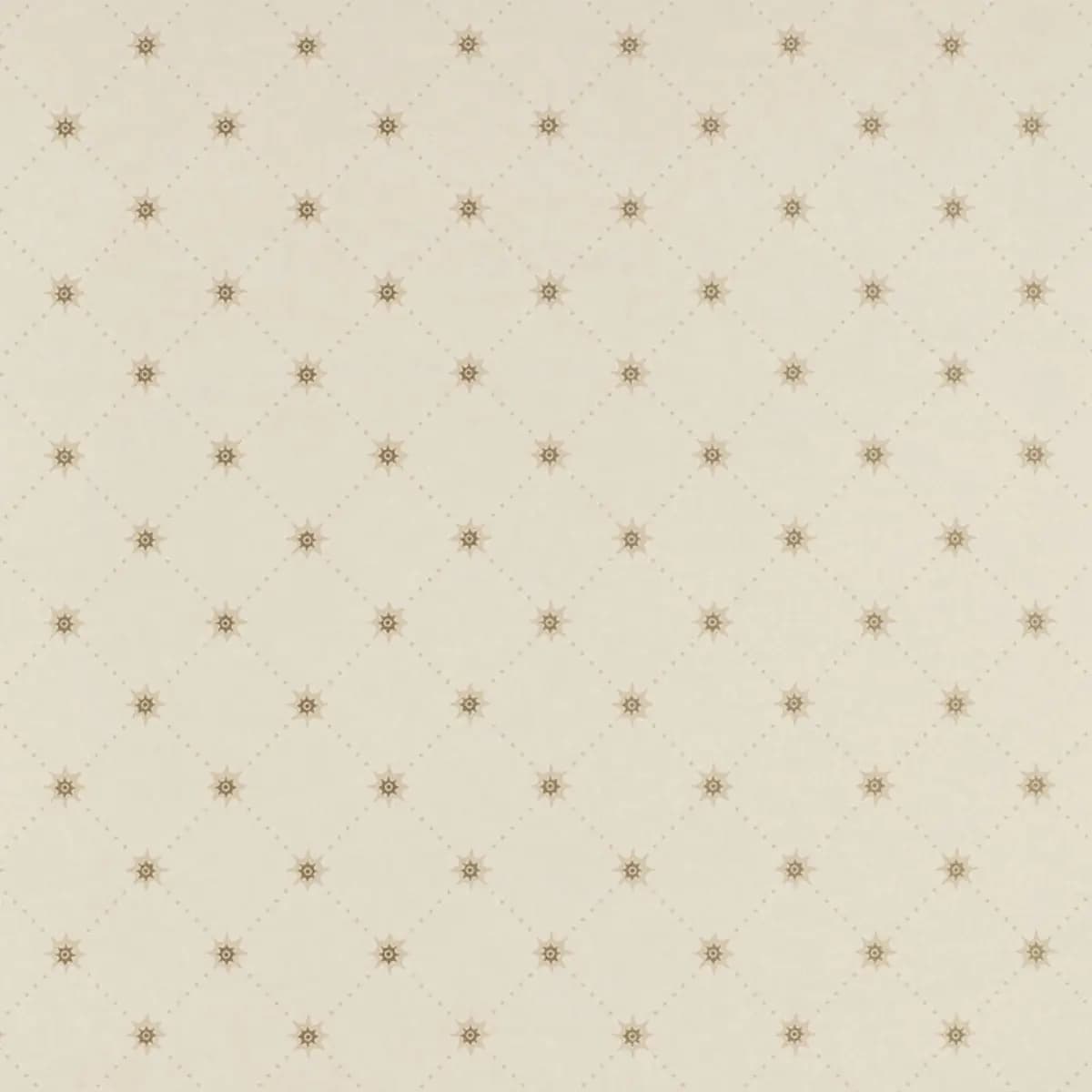 COOPER STAR_ ALABASTER