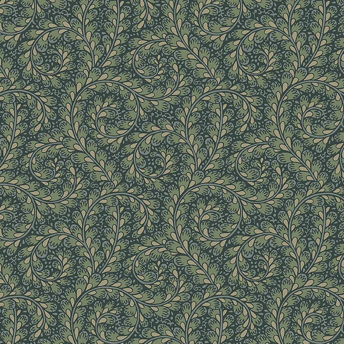 WILD FERNS_ SPRUCE