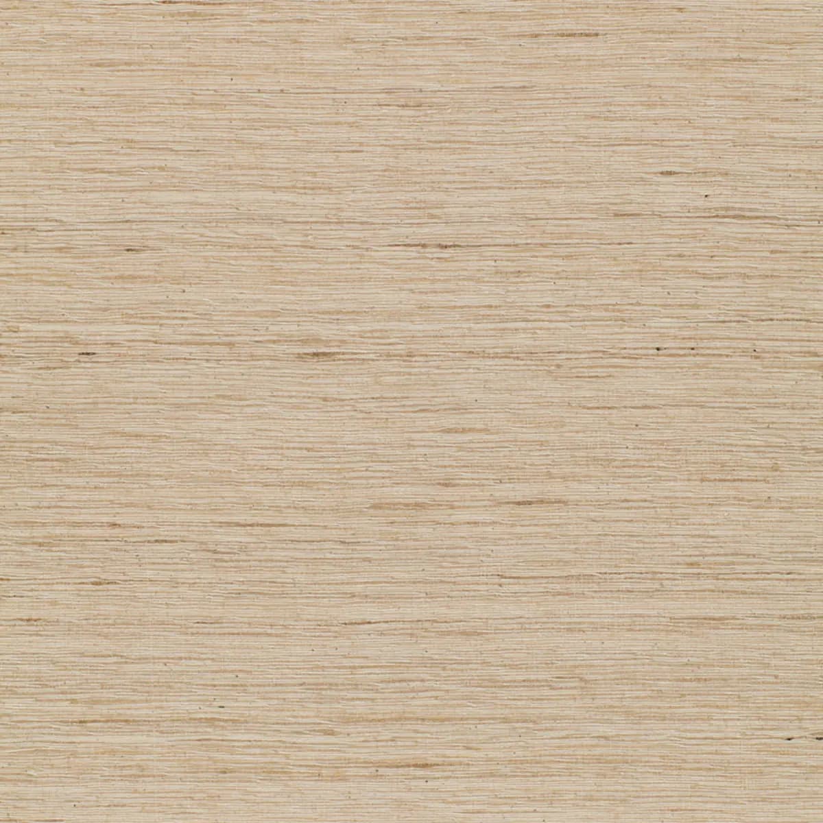 TUSSAH_ OATMEAL