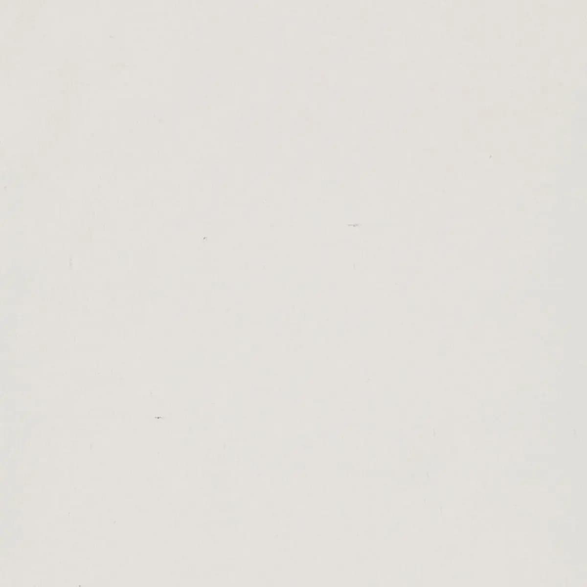 PROVINCE DUCK_ WHITE