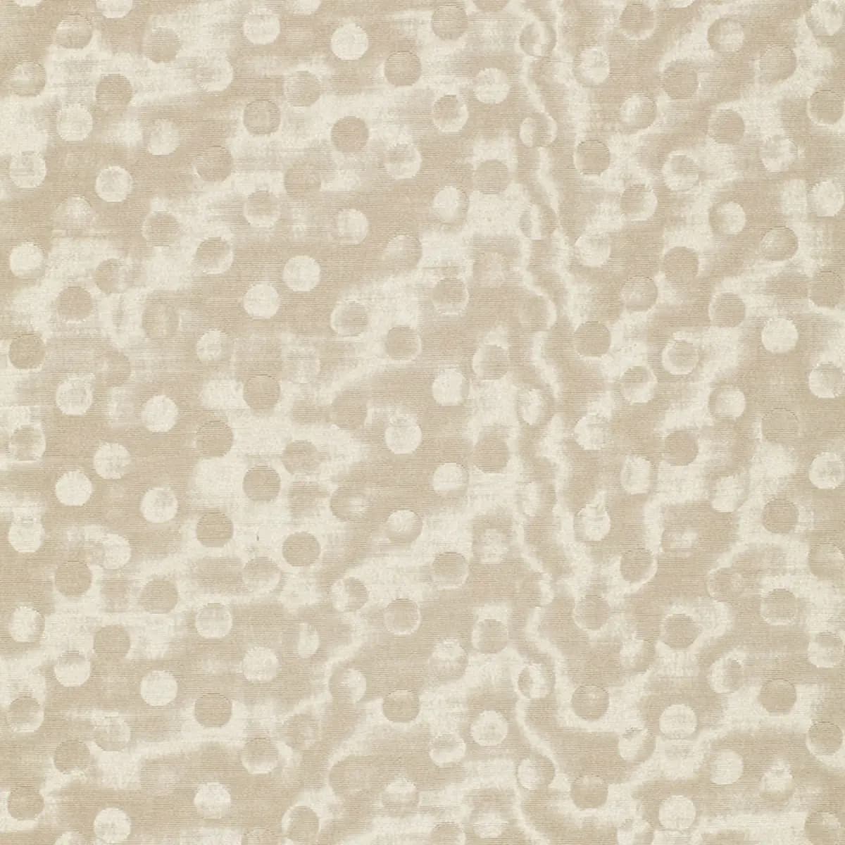 LIMELIGHT_ IVORY