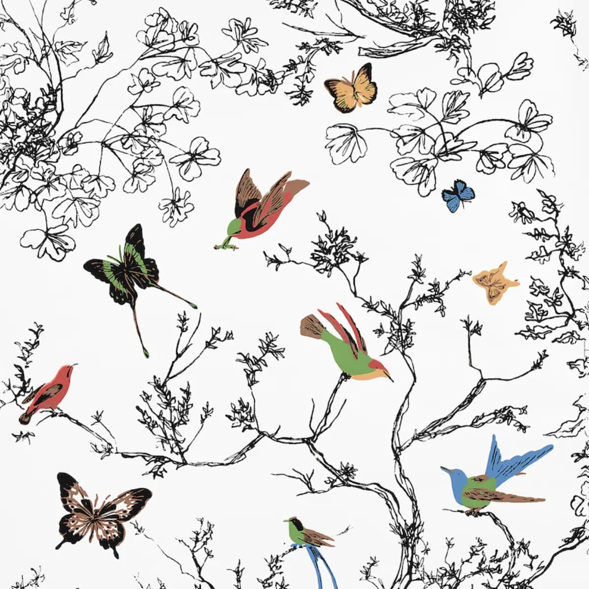 BIRDS & BUTTERFLIES_ MULTI ON WHITE