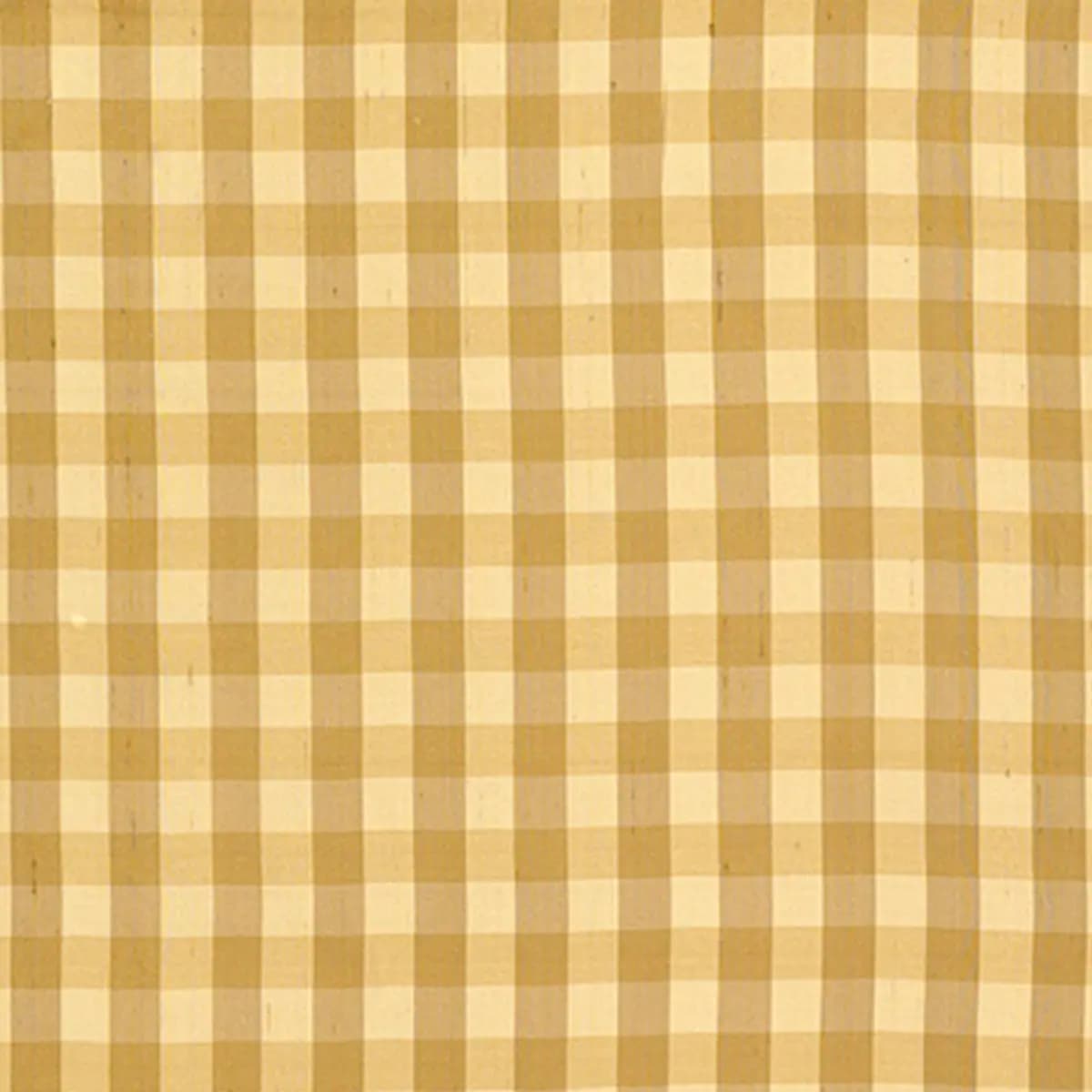Inglebury Silk Check_ COIN