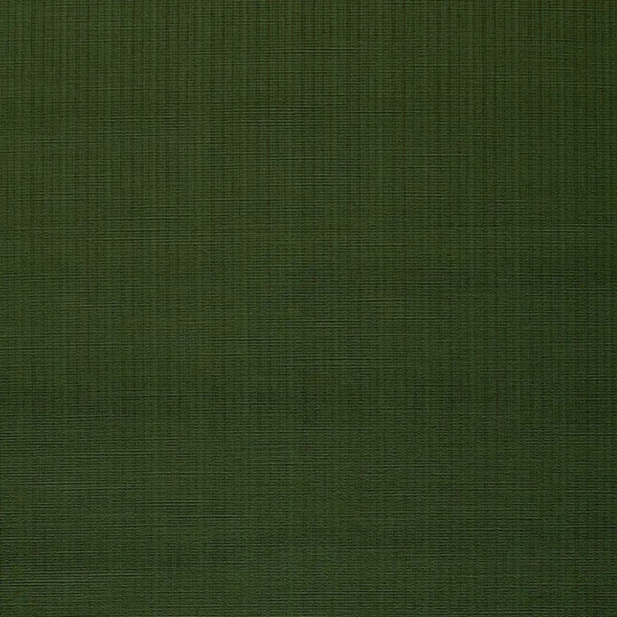 ANTIQUE STRIÉ VELVET_ OLIVE