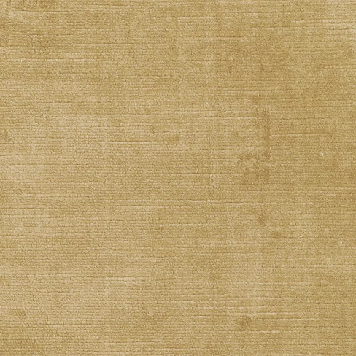 ANTIQUE LINEN VELVET_ CHAMPAGNE